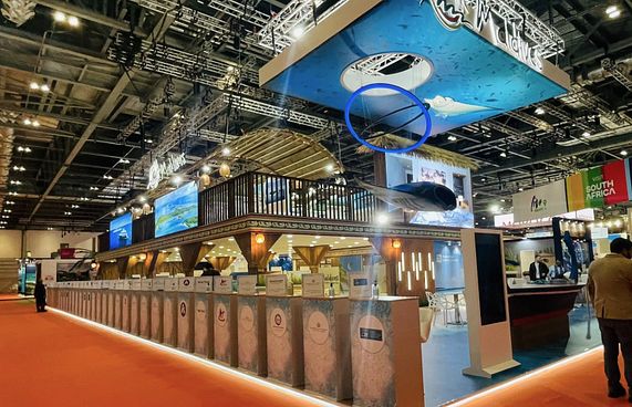 ރާއްޖޭގެ 173 މަންދޫބުންނާއެކު ޑަބްލިއުޓީއެމް ފަށައިފި