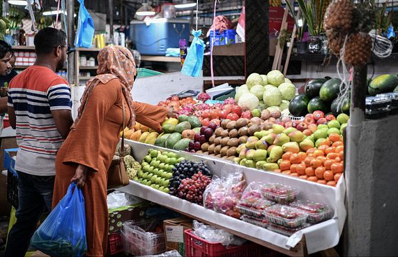 އަސާސީ މުދާ އަގު ބޮޑުވެއްޖެ، މޭވާގެ އަގު ވަކިން ބޮޑު