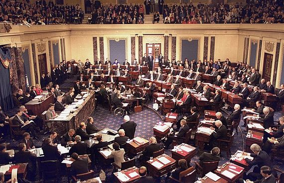 ސެނެޓްގެ ސާފު އަޣުލަބިއްޔަތު ޑިމޮކްރޭޓުންނަށް