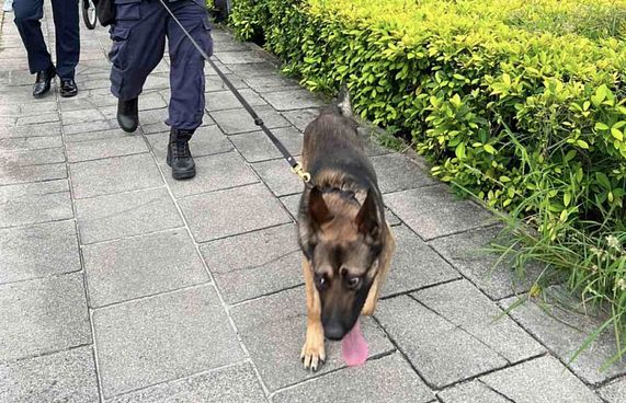 ޓެރަރިޒަމް އޮޕަރޭޝަންތަކަށް ހާއްސަ ކުއްތާތަކެއް ގެނެސްފި