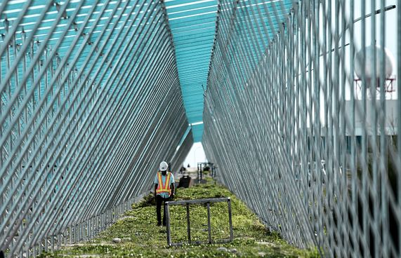 ހަސަން ހަމީދުގެ ހައްލު: ޕެނަލްތައް މަގުގެ މައްޗަށް!