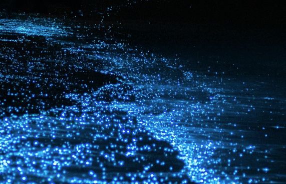 ރެދަންލައި އުތުރުގެ ރަށްތައް ދިއްލާލައިފި