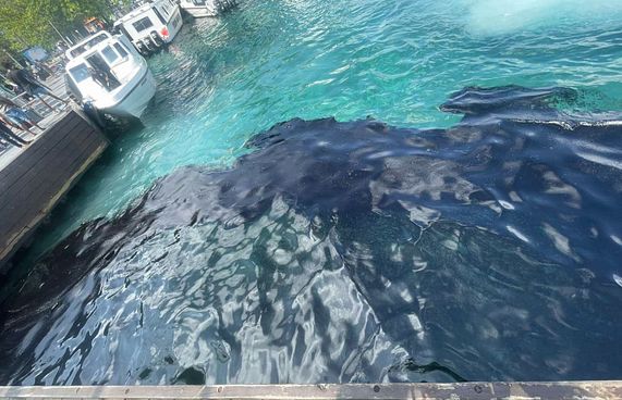 މާލެ ފަޅުތެރޭގައި 1،000 ލީޓަރުގެ ކަޅުތެޔޮ!