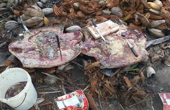 ކެޔޮދޫގައި ވެލާ ފެޅި މީހުންގެ ޖޫރިމަނާ ކުޑަކޮށްދީފި