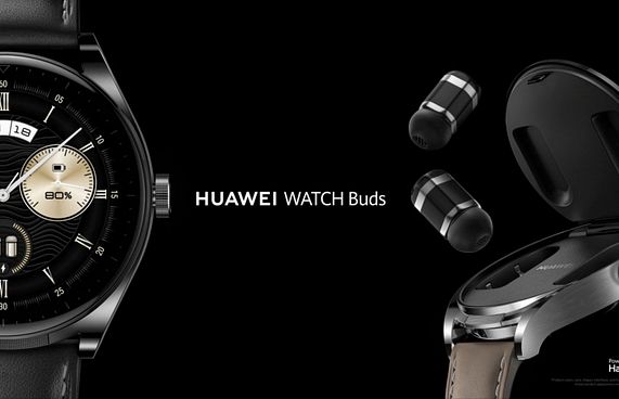 ވާވޭ ވޮޗް ބަޑްސް: ގަޑީގެ ތެރޭގައި އިއާބަޑްސް!