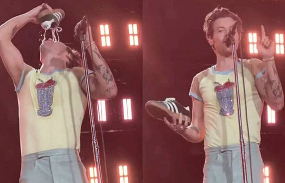 ހެރީ ސްޓައިލްސް މި ހޭވީ ކޮން ހަޑިއެއް؟