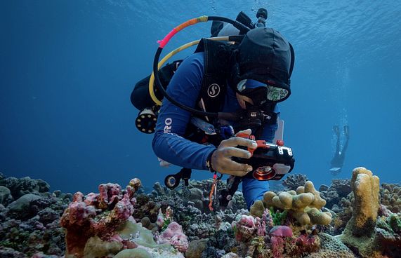 ކަނޑުފަޅުތައް ބޭނުންކުރާ ގޮތް ބެލުމަށް ބޮޑު ދިރާސާއެއް