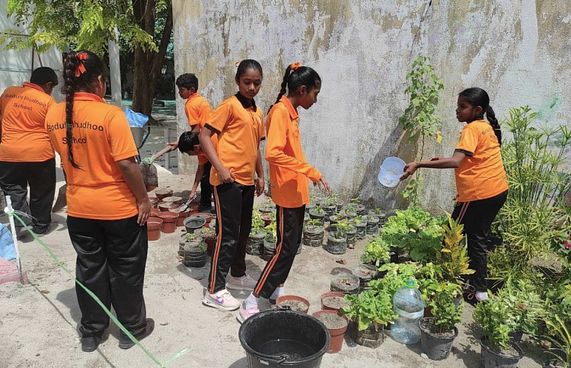 ބޮޑުފޮޅުދޫ ދަރިވަރުން މިފަހަރު ރޯދައަށް ހެއްދީ ފަތް