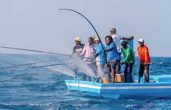 އުތީމުގައި އަދިވެސް 20 އަހަރު ކުރީގެ މަސްވެރިކަން