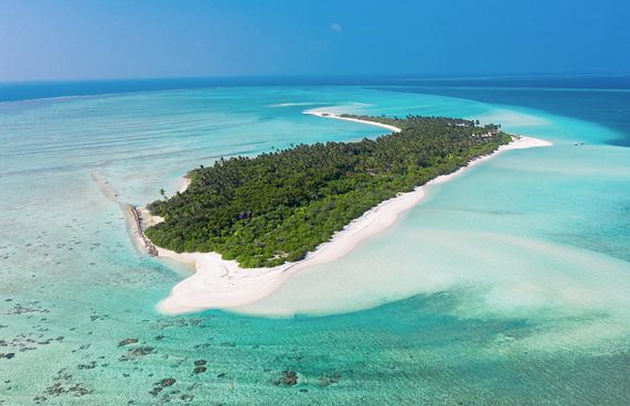 ދަހިވެތިކަން، ނުބައި ނިޔަތް: ފާފު މަޝްރޫއުގެ ނިމުން!