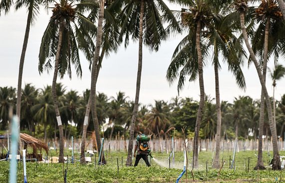 ކެރެލާއިން ރާއްޖެއަށް 5،000 ރުއް ގެނެސްފި