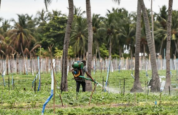 ކެމިކަލް ނުލައި ދަނޑު ހައްދަން ރައީސް އެދިވަޑައިގެންފި