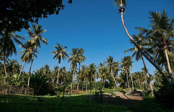 ބޭރުން ގެނައި ރުއް ބަހާނެ ރަށްތައް އިއުލާން ކޮށްފި