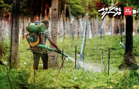 ދަނޑުތައް ވިހަވެފައި، ހައްދާ އެއްޗެހި ރައްކާތެރިތަ؟