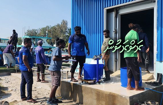 ސްކޫލް ނިންމާފައި މަހަށް، މިހާރު އެހެން ދިމާއަކަށް!