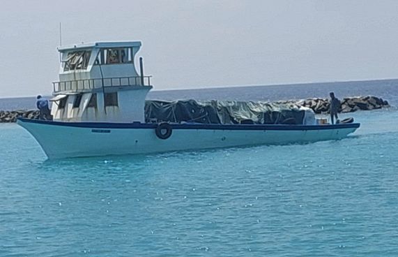 ހިލަ ބަރު ކޮށްގެން ދިޔަ ދޯންޏެއް ގެއްލިގެން ހޯދަނީ