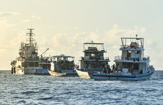 ދެކުނުގައި މަސް ގަންނަ ހަތަރު ބޯޓެއް ފެލިވަރަށް