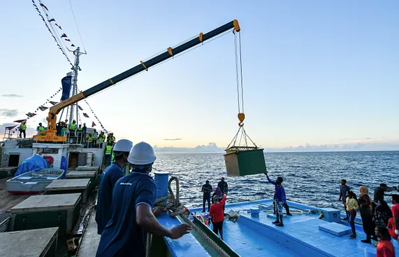 މަސްވެރިންނަށް ކުރިއެކޭ ވެސް އެއް އަގެއްގައި ތެޔޮ ލިބޭނެ