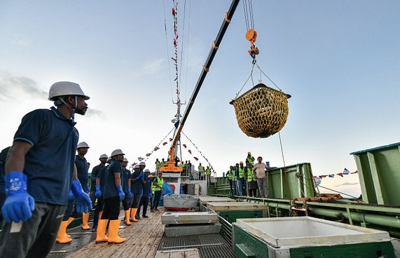 މިފްކޯއިން މަސް ގަންނަ އަގު 25ރ. އަށް ބޮޑުކޮށްފި