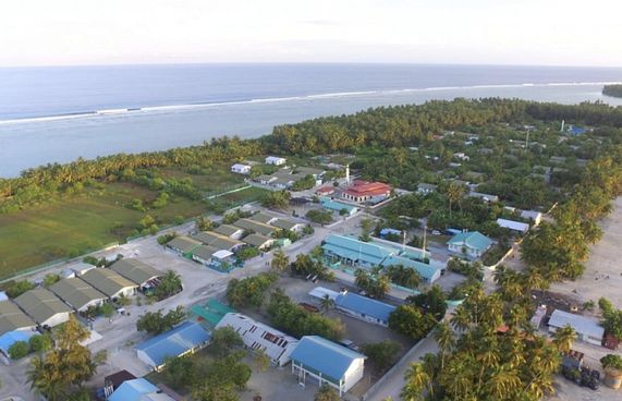 ގެއްލުނު ކުއްޖަކު މޫދުގައި މަރުވެފައި އޮއްވައި ފެނިއްޖެ