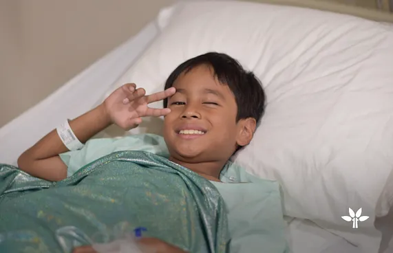 ޓްރީ ޓޮޕްގެ މި ފަހަރުގެ ހިތާނީ ކޭމްޕަށް ބޮޑު ތަރުހީބެއް