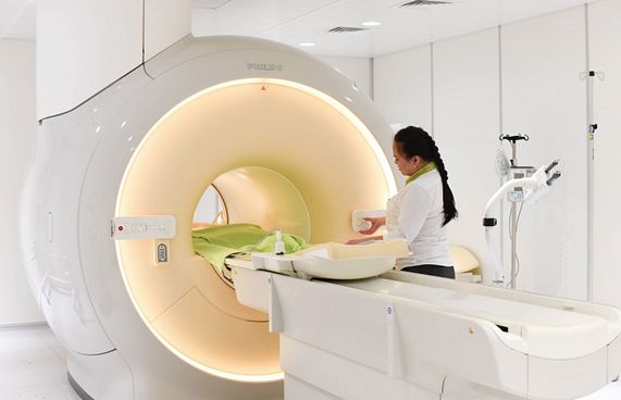 ޓްރީ ޓޮޕުން ހިލޭ އެމްއާރުއައި ހެދޭ ކެމްޕެއިނެއް