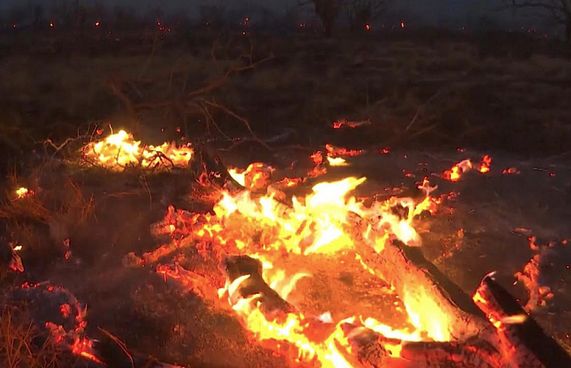 ހަވާއީ ޖަންގަލި އަލިފާނުގައި 93 މީހުން މަރުވެއްޖެ