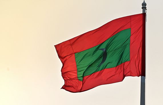 ދިވެހި ދިދަ ހިމާޔަތްކުރަން ގާނޫނެއް ހަދަނީ