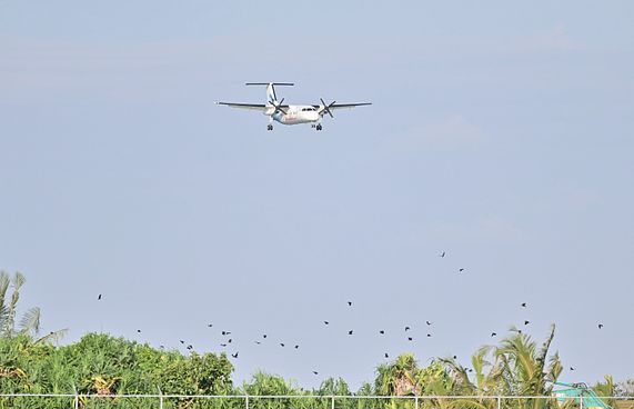 އައްޑު އާއި ކޫއްޑުއާ ދެމެދު ސީދާ ދަތުރުތައް ފަށަނީީ