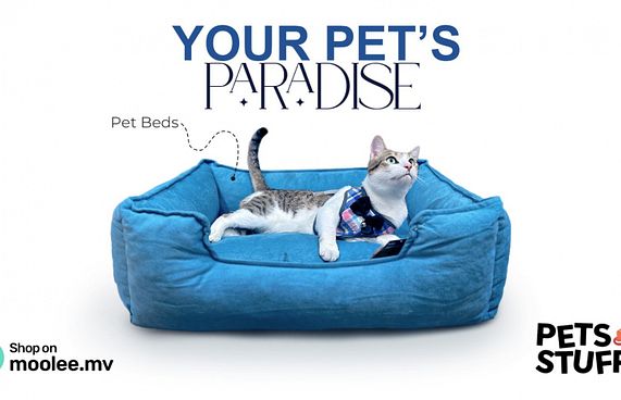 ޕެޓަށް ބޭނުންވާ ސާމާނު މޫލީ މެދުވެރިކޮށް ގަނެވޭނެ