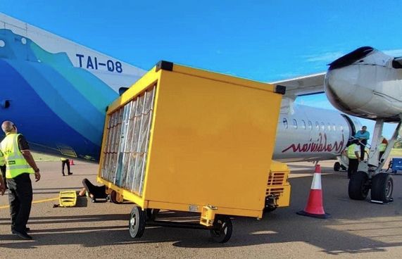 ކާގޯވެހިކަލެއް ފްލައިޓެއްގަ ޖެހި މީހަކަށް އަނިޔާވެއްޖެ