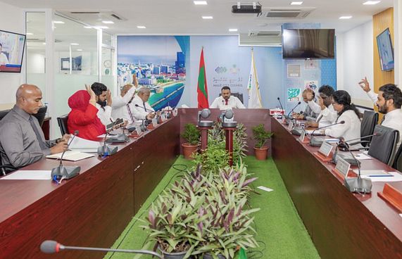 ޝާހިދު ބައިވެރިވީ ކުރީގެ ކޮންސަލްޓަންޓުގެ ހައިސިއްޔަތުން