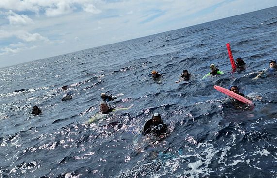 އޮޔާ ދަނިކޮށް ފެނިގެން 14 ޑައިވަރުން ސަލާމަތްކޮށްފި