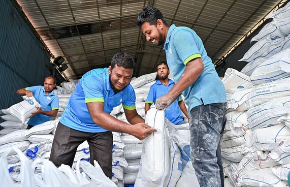 ގޭބިސީތަކަށް ކާޑުގެ ބާވަތްތައް ބަހަން ފަށައިފި