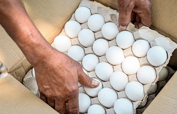 ބިސް ވިއްކާއިރު ރައްކާތެރިކަން ދޭން އެދިއްޖެ