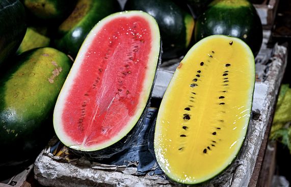 ކަރާގެ އަގު ހެޔޮ ރޯދަ މަހެއް