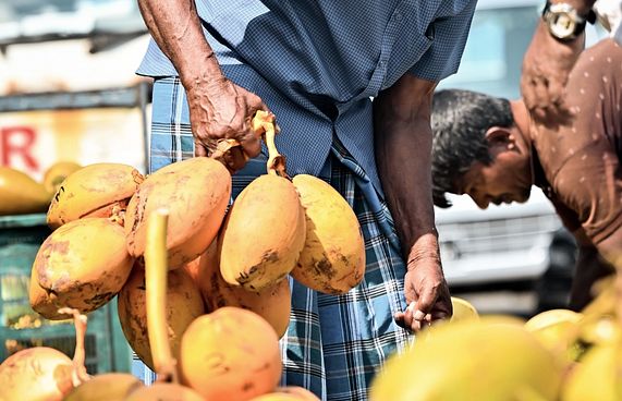 ބާޒާރުގައި ކުރުނބައެއް 70ރ. އިން މައްޗަށް