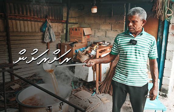 ކަށިކޭލުގެ ފޮނި މީރުންކަން މާ ތަފާތު ގޮތަކަށް