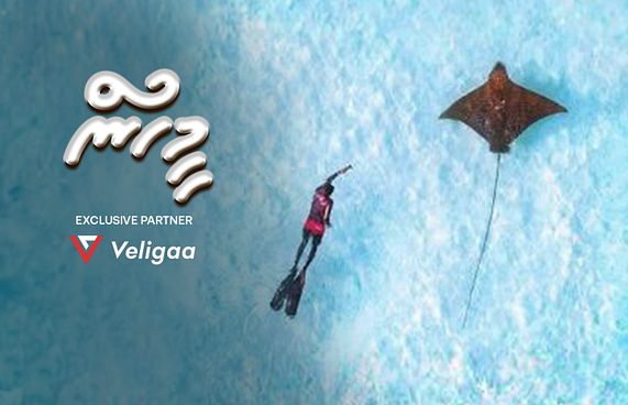 "މޫދުމީހާ"ގެ ވިޝްލިސްޓް މުޅި ދުނިޔޭގެ ސަމާލު ކަމަށް!