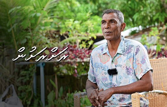 މި ރަށުގައި މަގޫ ގަހުގައި އަޅަނީ "ފައިސާ"