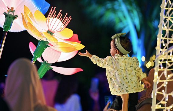 އީދަށް ބޮކިފަތި ދިއްލާނީ ސިޓީތަކުގައި އެކަނި