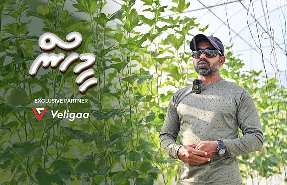 ހާފިޒެއް، އިމާމެއް، ދަނޑުވެރިއެއް