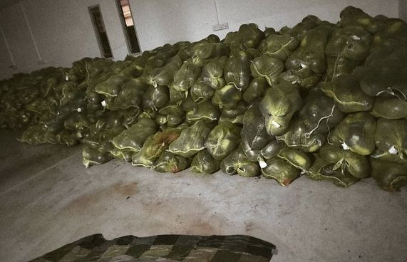 ހަ ރޯދައަށް ޗަމްޕާ ބްރަދާސް އިން 25 ޓަނުގެ ކަރާ ހަދިޔާކޮށްފި