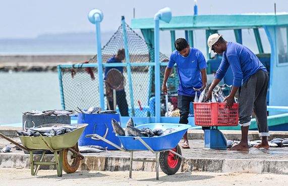 ބޮޑު ކަންނެލީގެ ދޯނިތަކަށް ވިއްކާ ތެލަށް ސަބްސިޑީދެނީ