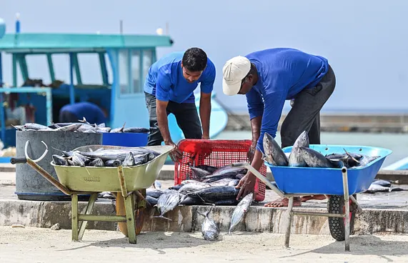 މަސްވެރިންގެ ދަފްތަރުގައި ހިމެނޭ 89 މީހަކަށް ލޯނު ދޫކޮށްފި