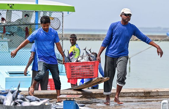 ދޯނިތަކަށް 10 ޓަނުގެ އައިސް ކްރެޑިޓަށް ދެނީ