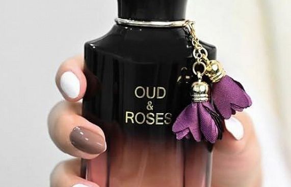 ޕްލާޒާއިން އަހުމަދު އަލް މަގްރިބީ ބްރޭންޑް ރާއްޖެއަށް