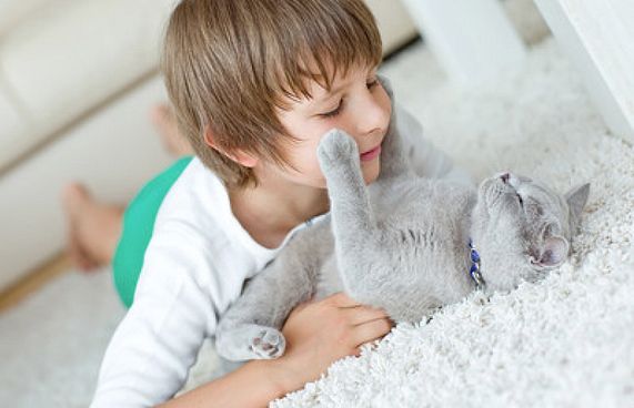 އެކްޒީމާ ހުންނަ ކުދިން ޕެޓް ގެންގުޅުން ރަނގަޅު ވާނެ؟