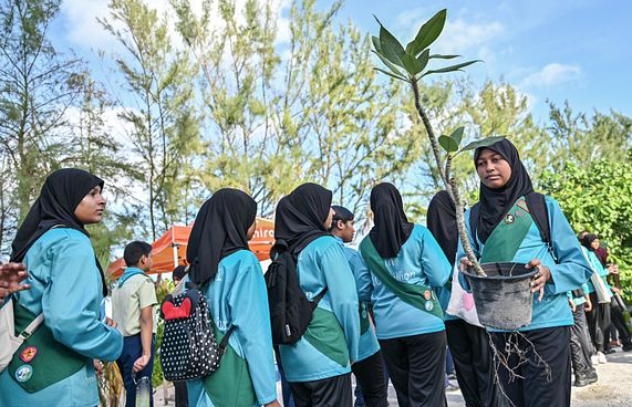 ސިމްޑީ އިން ހުޅުމާލެ 2 ގައި 100 ގަސް އިންދައިފި