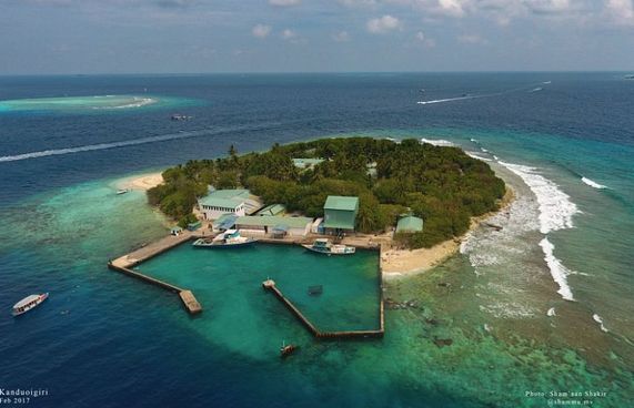 ކަނޑުއޮތްގިރީގެ މަސް ކާރުހާނާ ބަންދުކޮށްފި